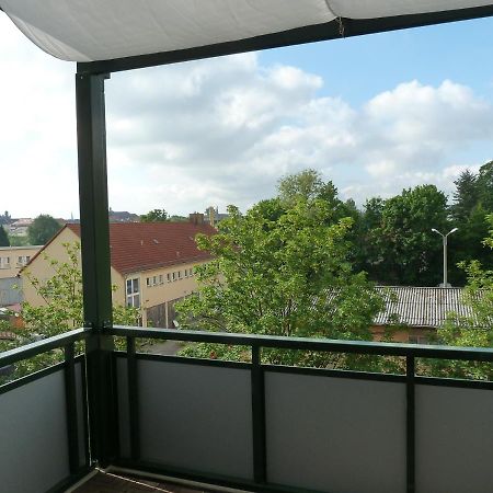 Fewo Dresden-Trachau エクステリア 写真
