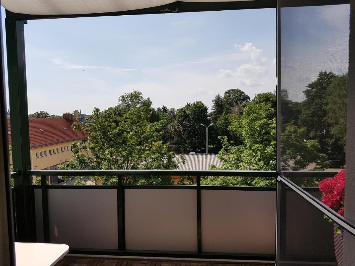 Fewo Dresden-Trachau エクステリア 写真