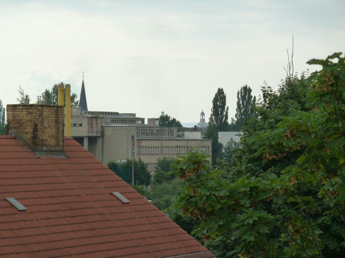 Fewo Dresden-Trachau エクステリア 写真